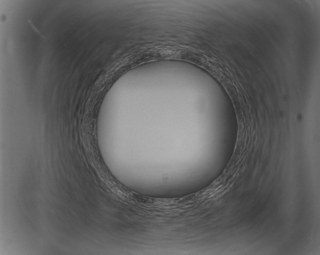 X0000081371249200701111058