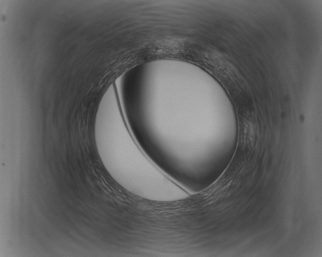 X0000081371250200701111058