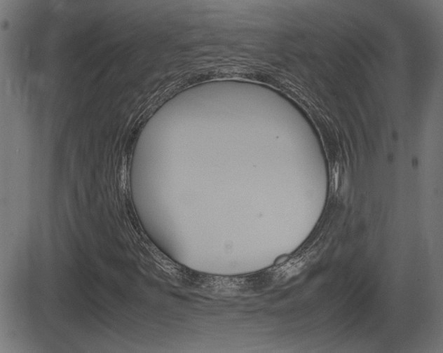X0000081371251200701111058