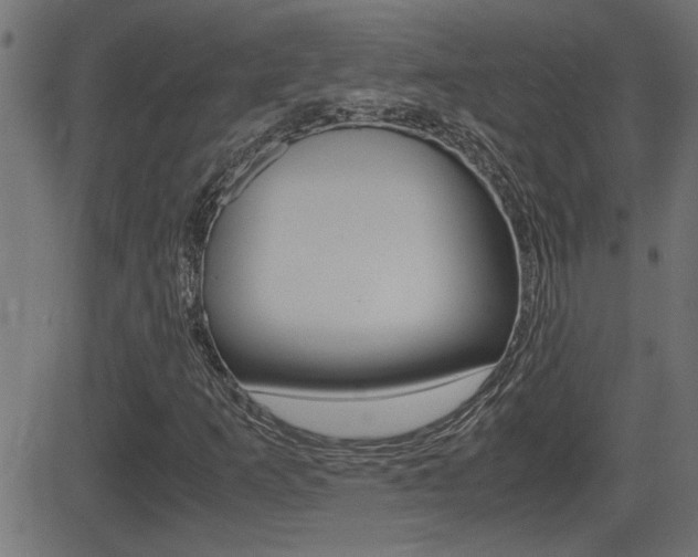 X0000081371253200701111058