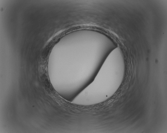 X0000081371255200701111058