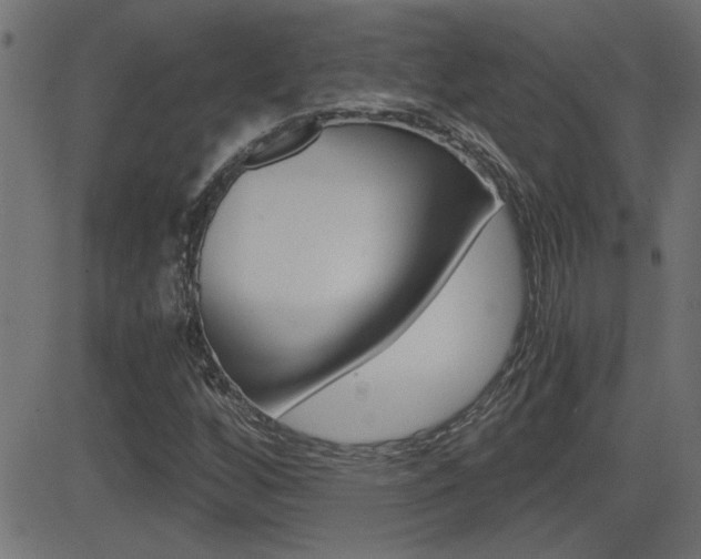 X0000081371256200701111058