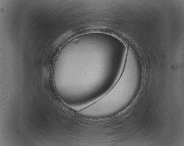 X0000081371257200701111058