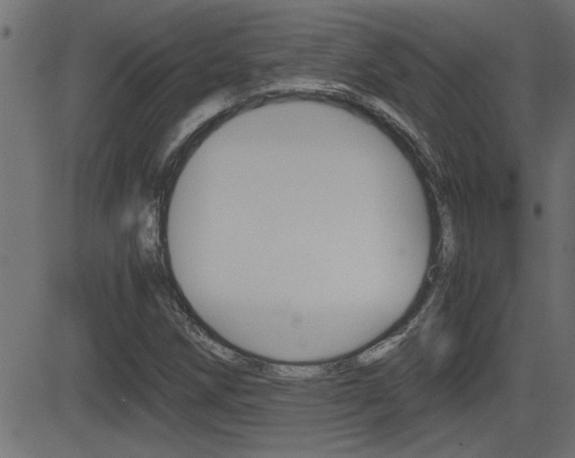 X0000081371258200701111058