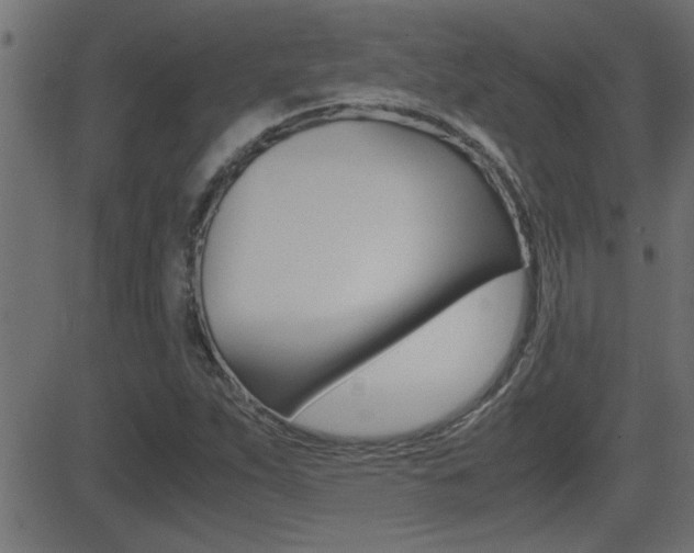 X0000081371263200701111058