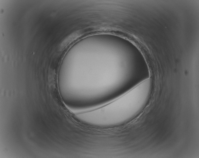 X0000081371265200701111058