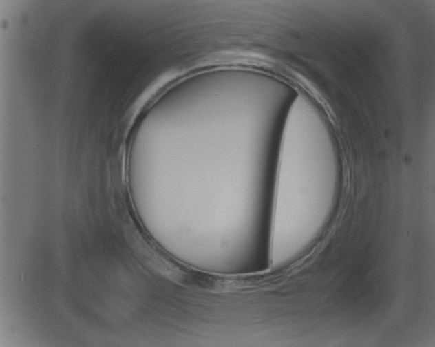 X0000081371275200701111057