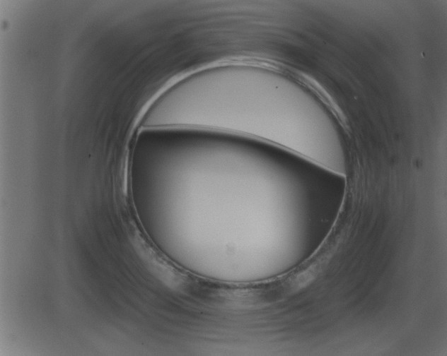 X0000081371276200701111057