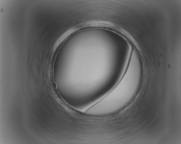 X0000081371277200701111057