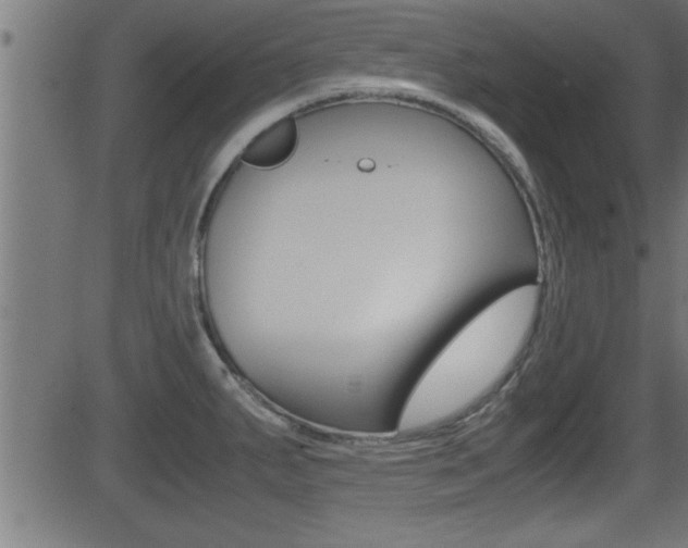 X0000081371287200701111057