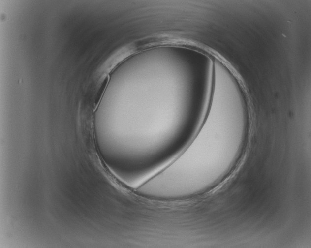 X0000081371289200701111057