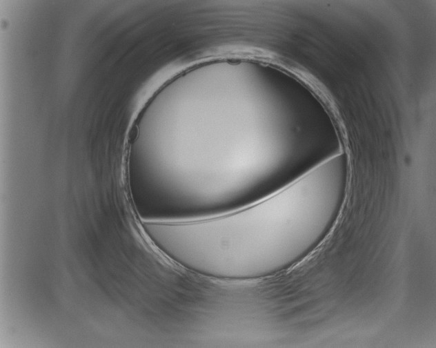 X0000081371296200701111057