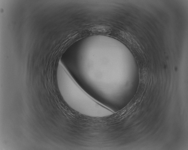 X0000081371297200701111056