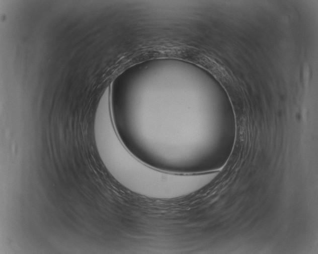 X0000081371298200701111056