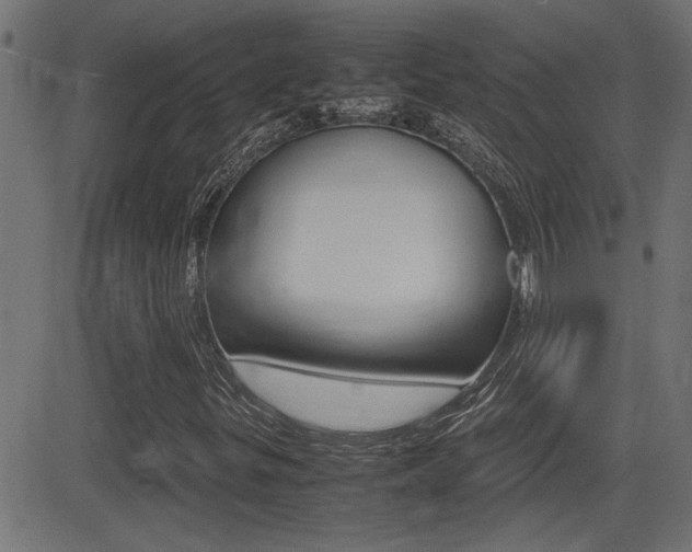 X0000081371299200701111056