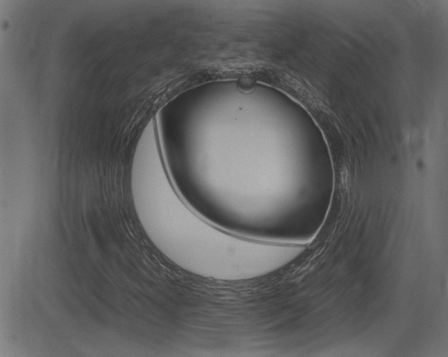 X0000081371300200701111056