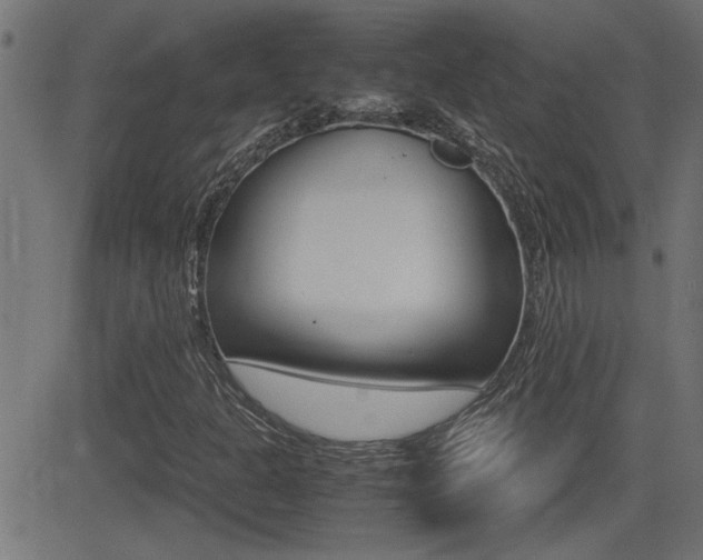 X0000081371301200701111056