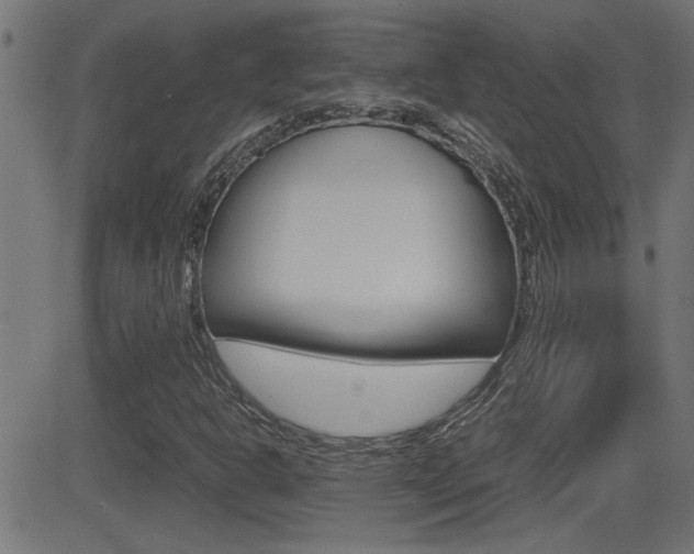 X0000081371302200701111056