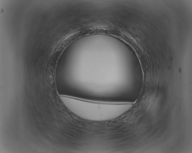 X0000081371303200701111056