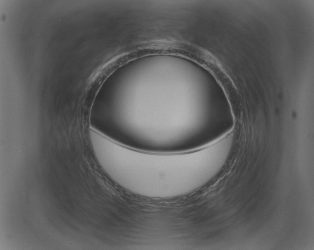 X0000081371304200701111056