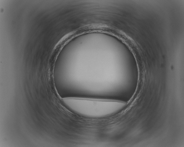X0000081371306200701111056