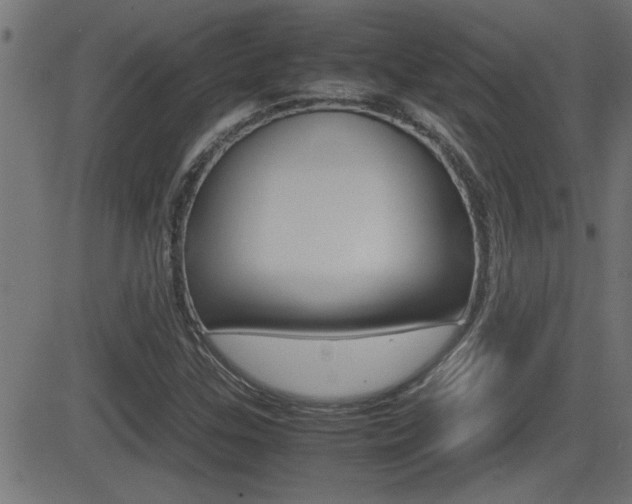 X0000081371307200701111056