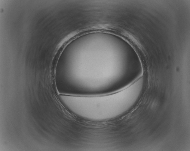 X0000081371308200701111056