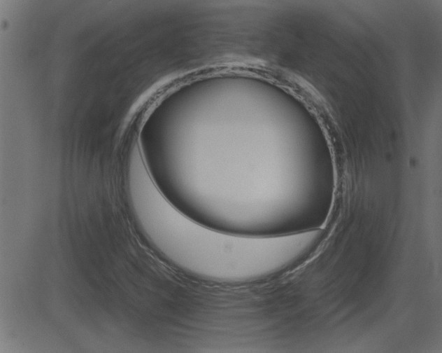 X0000081371310200701111056