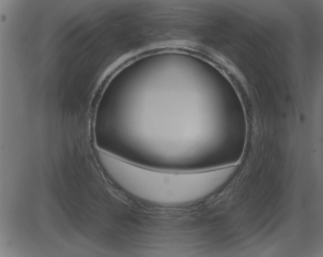 X0000081371316200701111057