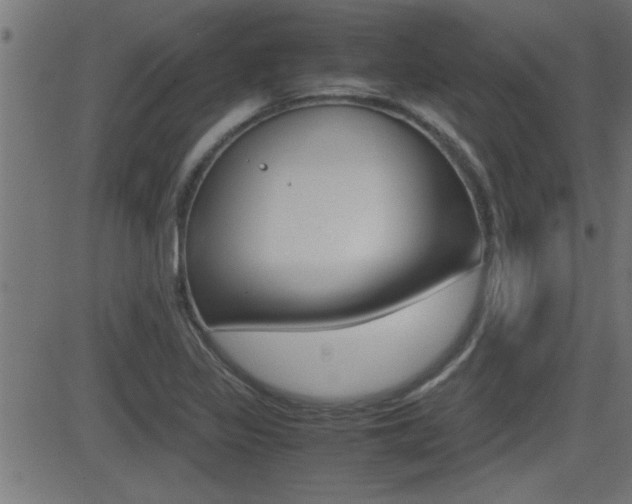 X0000081371317200701111057