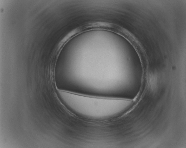 X0000081371321200701111057