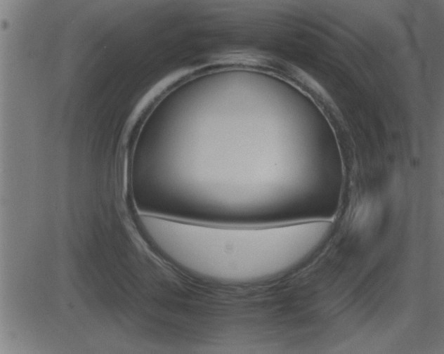 X0000081371323200701111057