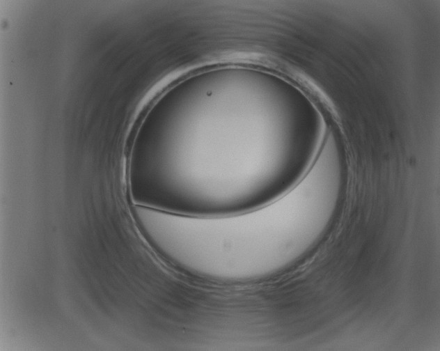 X0000081371324200701111057