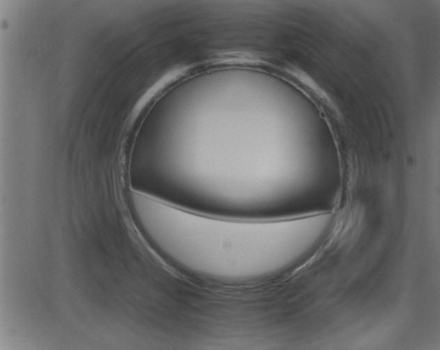 X0000081371325200701111057
