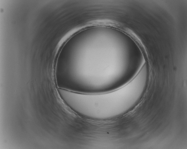 X0000081371336200701111057