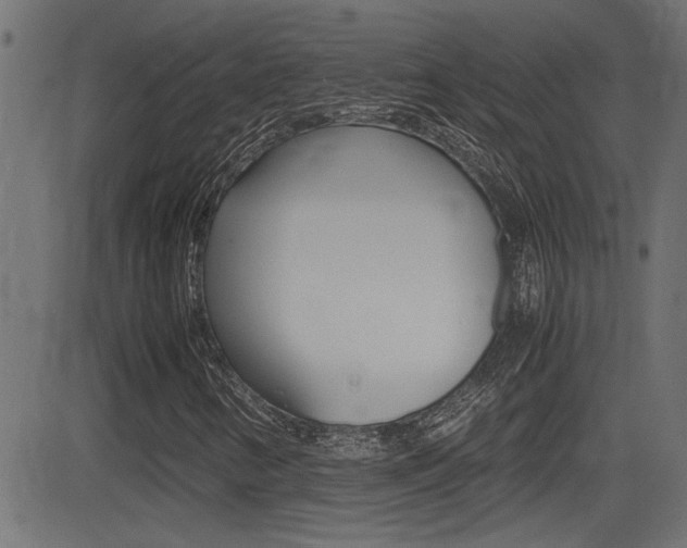 X0000081371346200701111056