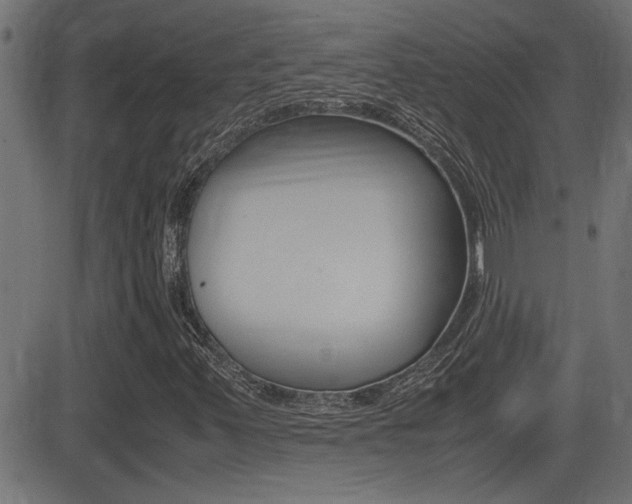 X0000081371347200701111056