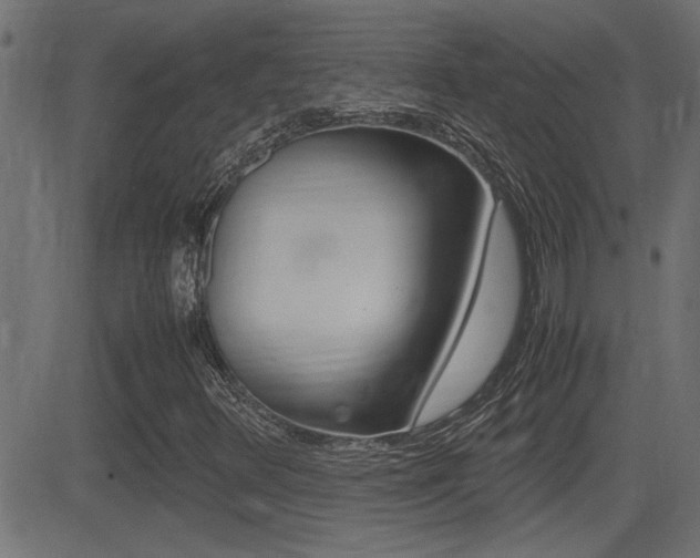 X0000081371348200701111056