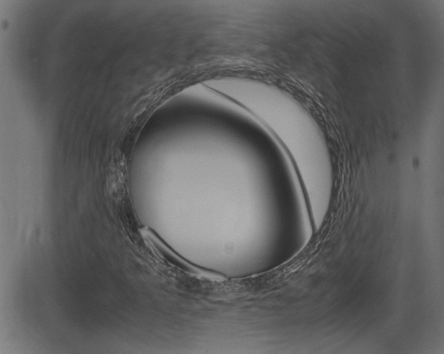 X0000081371349200701111056