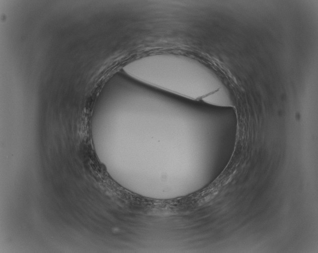 X0000081371350200701111056
