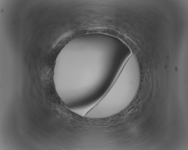 X0000081371351200701111056