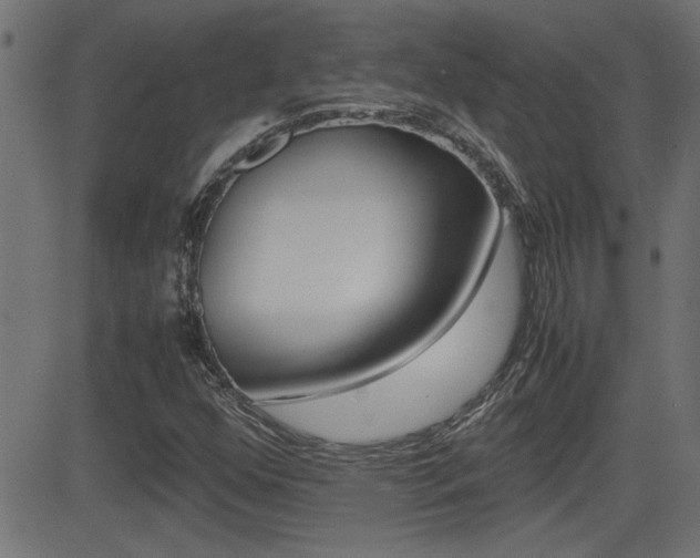 X0000081371352200701111056
