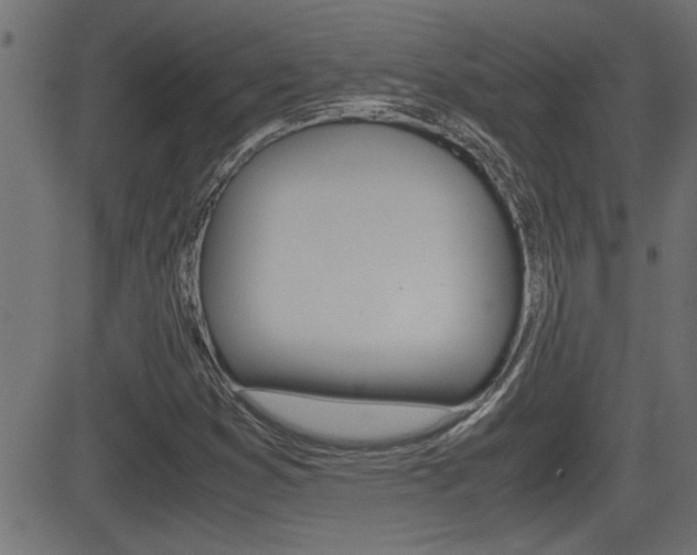 X0000081371353200701111056