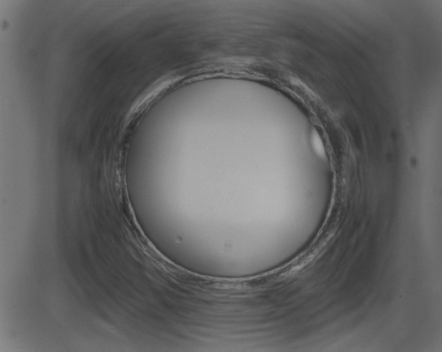 X0000081371354200701111056
