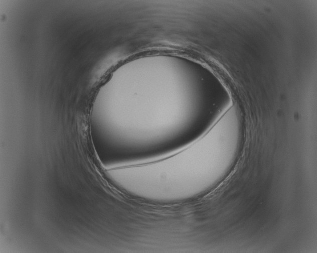X0000081371355200701111056