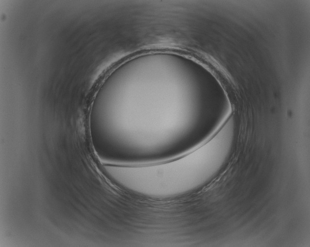 X0000081371356200701111056