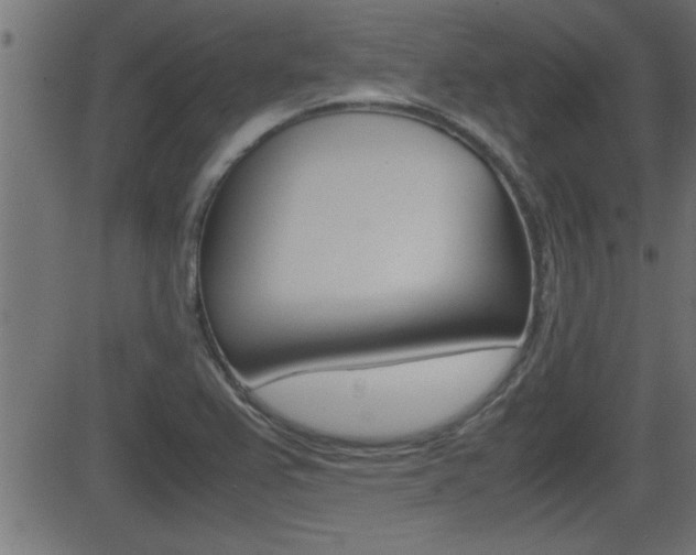 X0000081371367200701111056