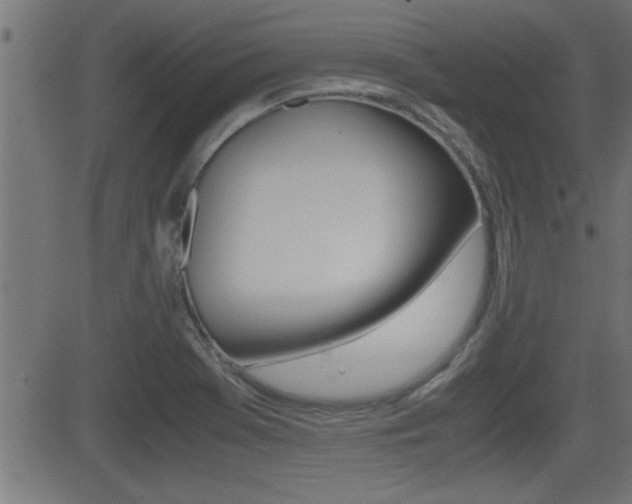 X0000081371369200701111056