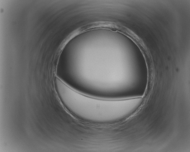 X0000081371377200701111056