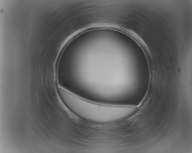 X0000081371380200701111056